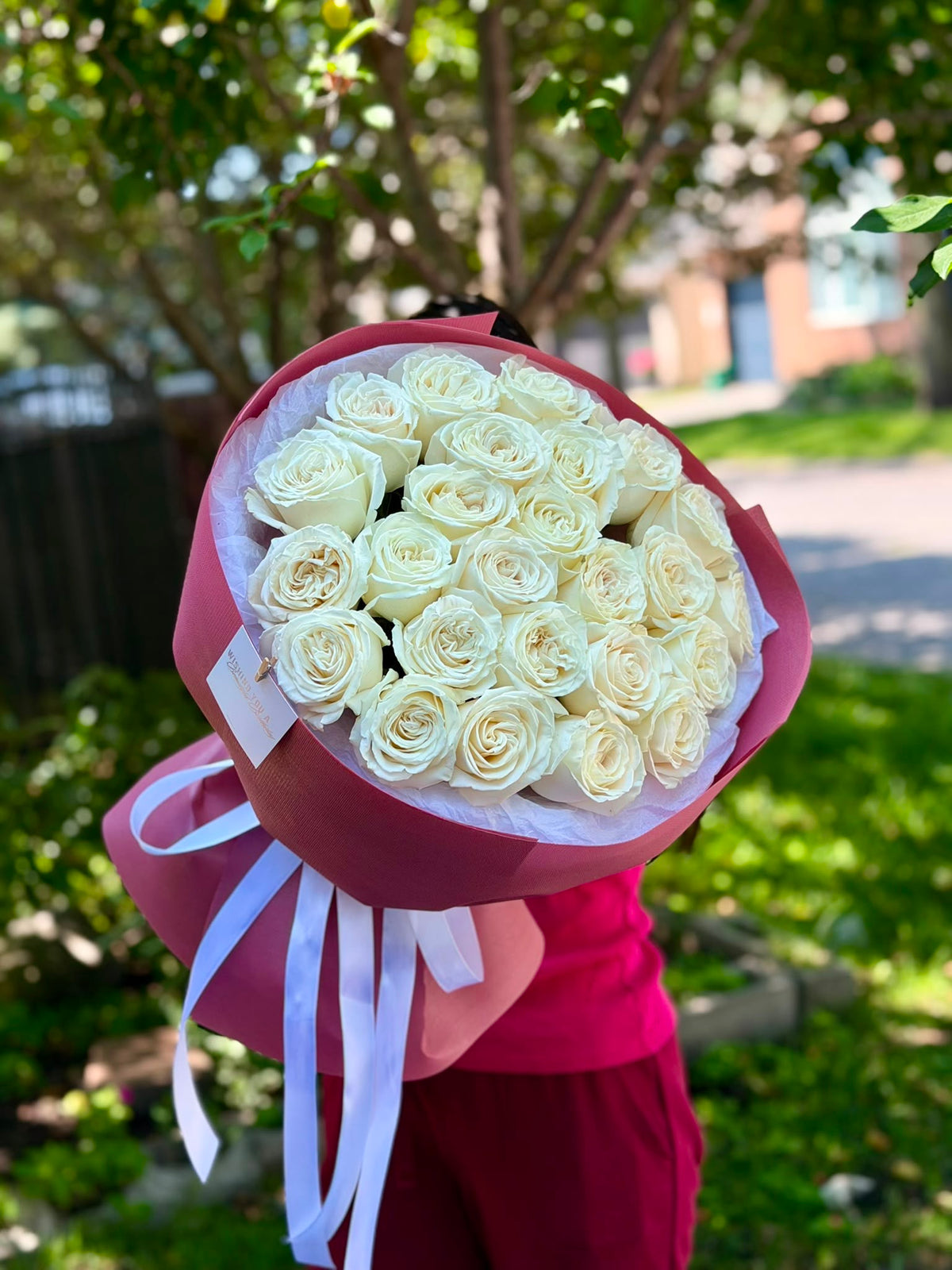 24 Premium White Roses