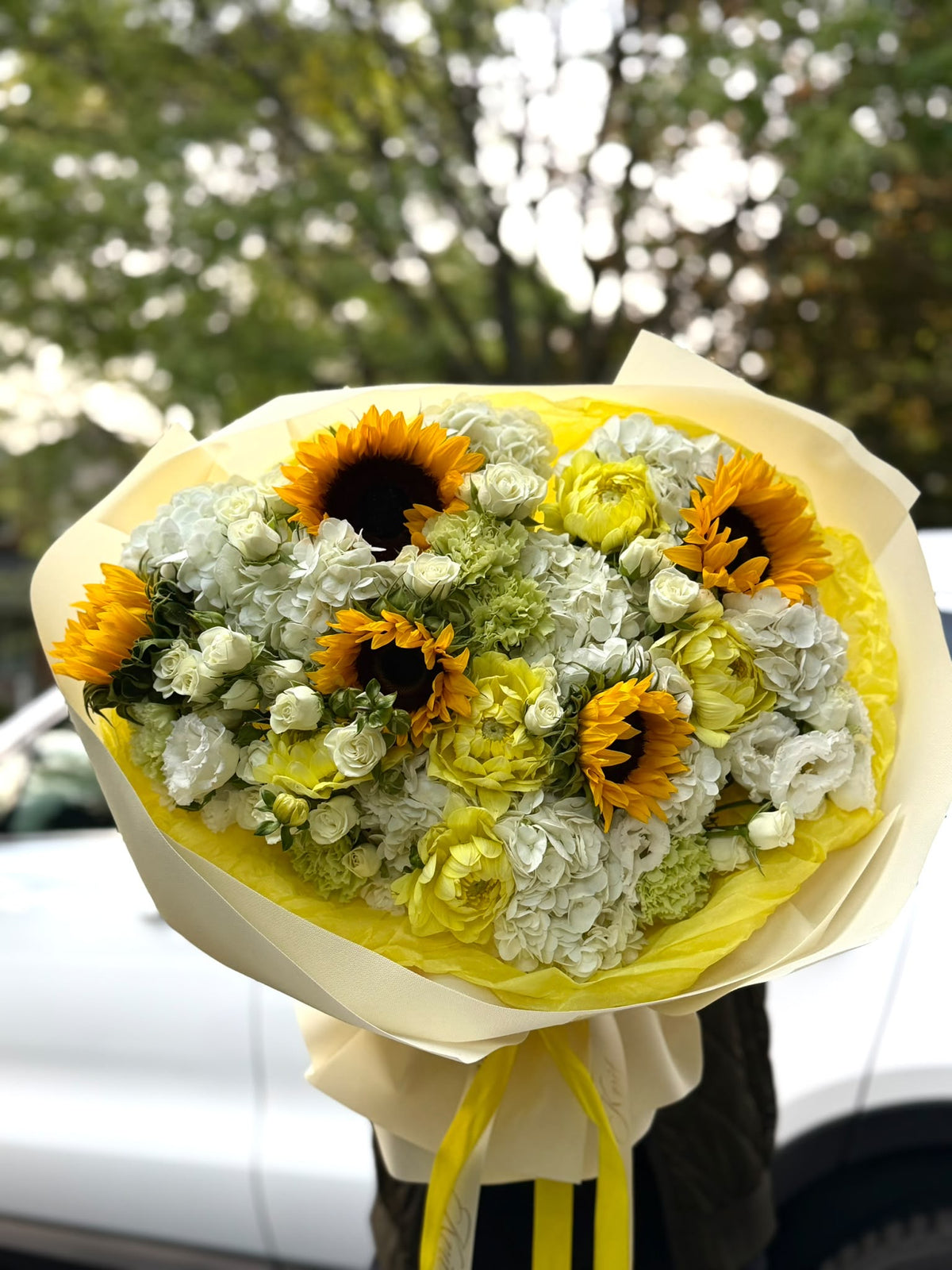 Sunshine Garden