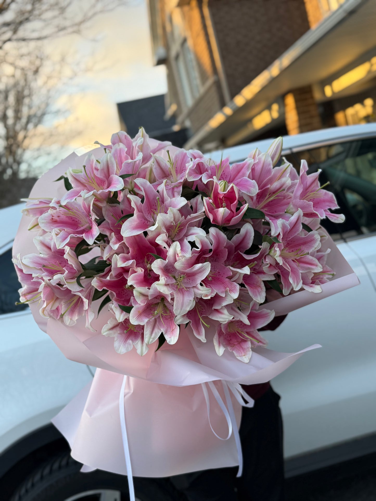 Blush Lily Dream
