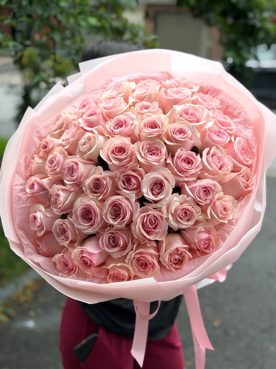 48 Premium Blush Roses – Soft Luxury