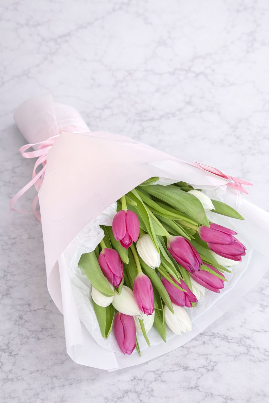 18 Tulips
