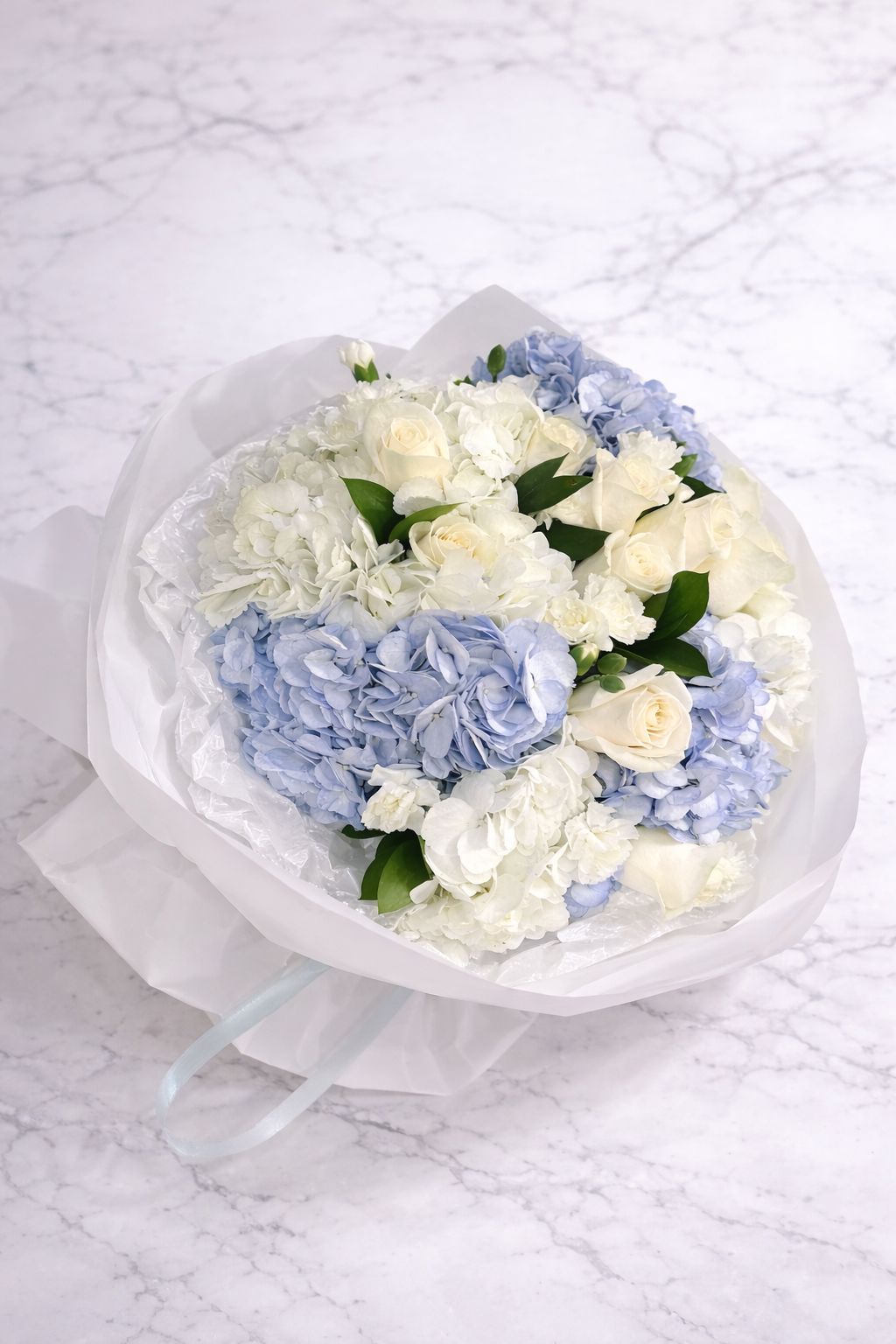 Blue Ivory Harmony