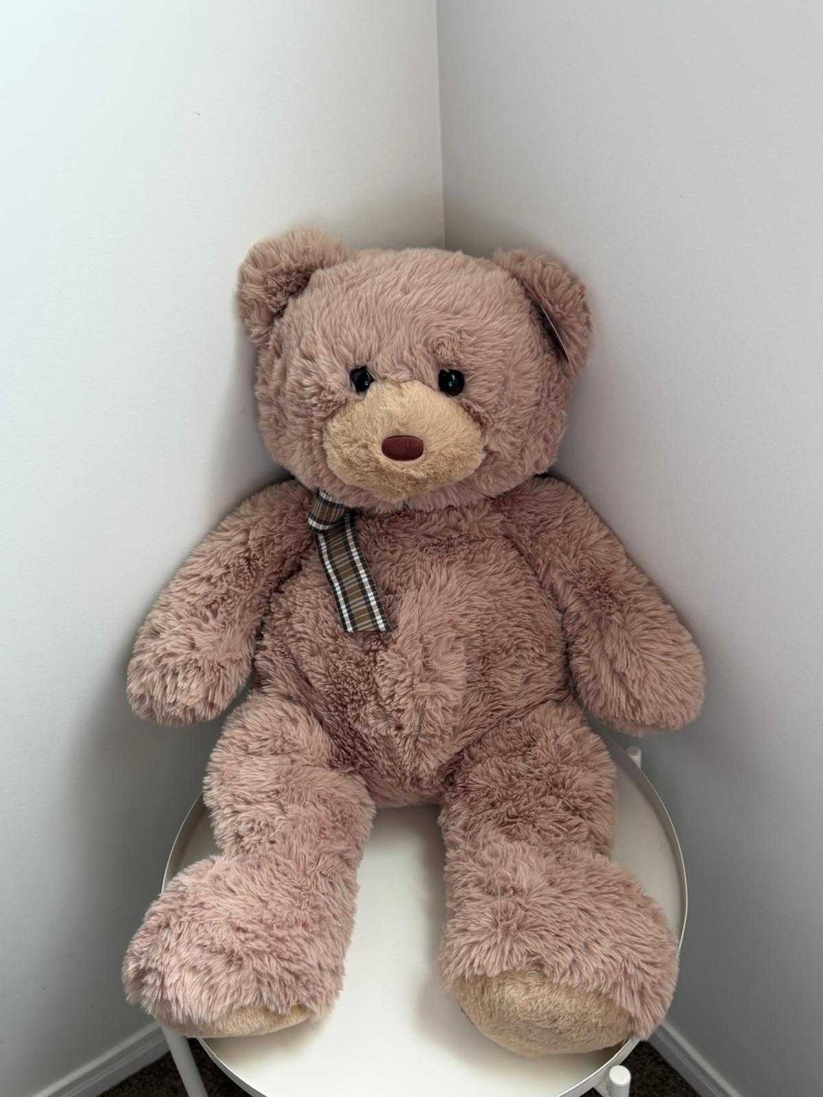Teddy Bear - Medium Size