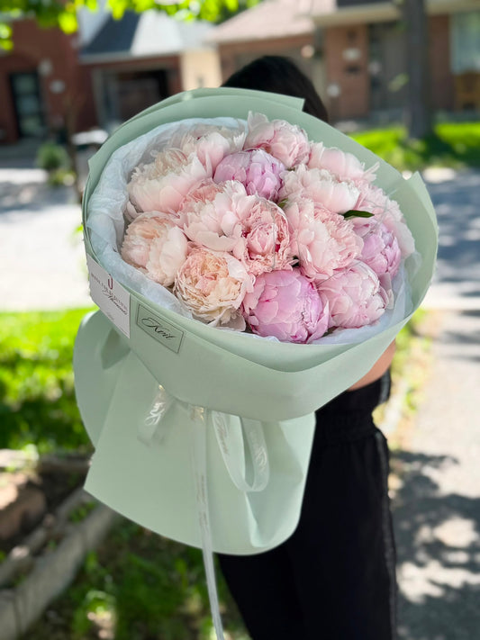 Blush Peony Cloud (15 Peonies)
