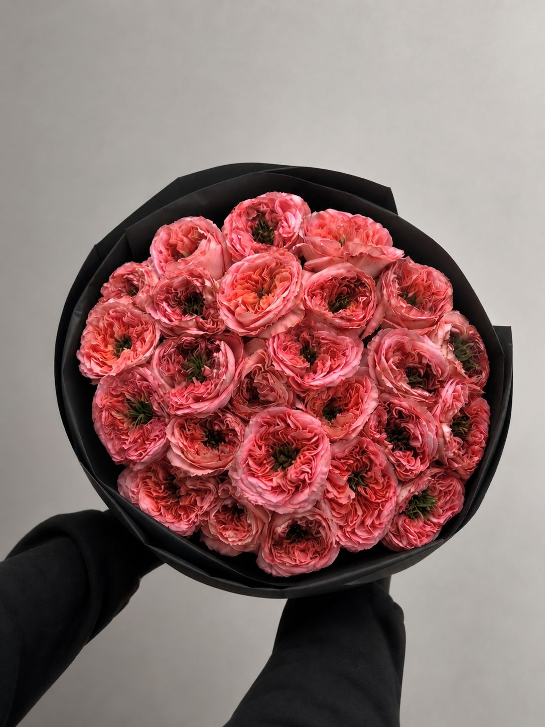 24 Mandarin Expression Roses — Premium Limited