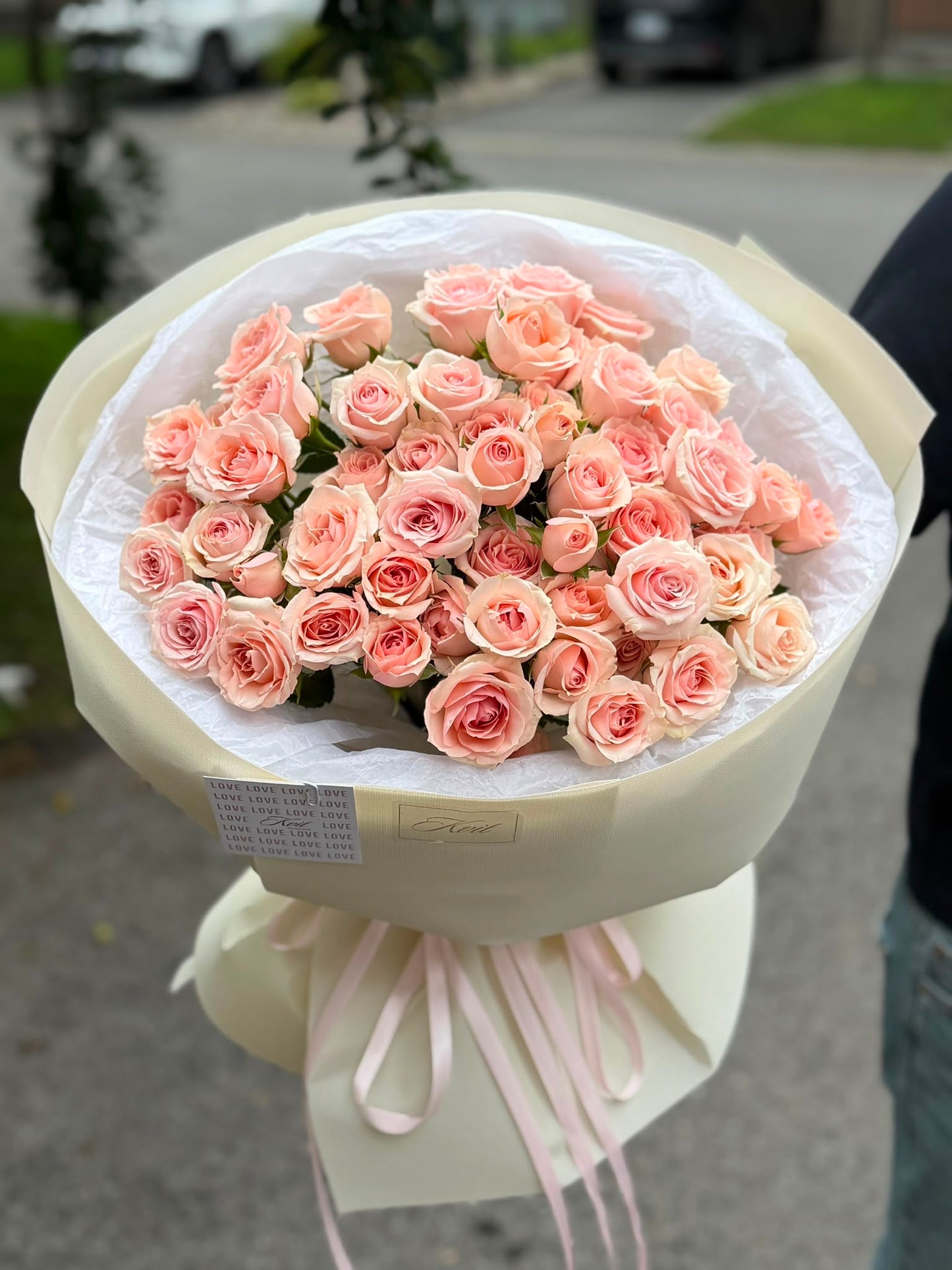 Blush Whisper — 20 Spray Roses