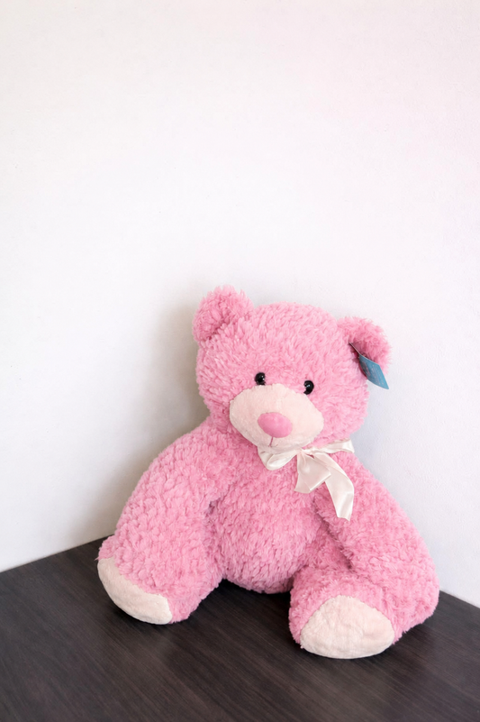 Soft Blush Teddy – Medium