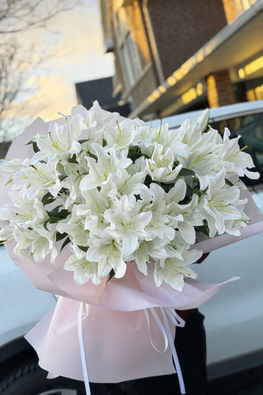 White Whisper Lilies