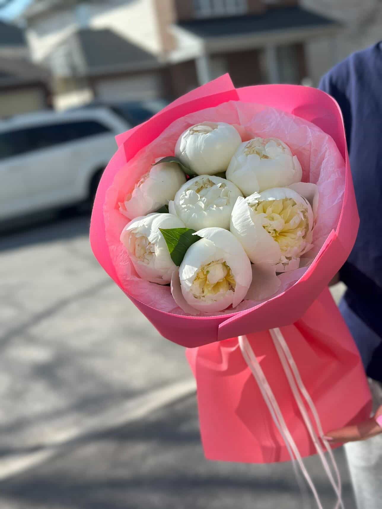 7 White Peonies – Pure Elegance