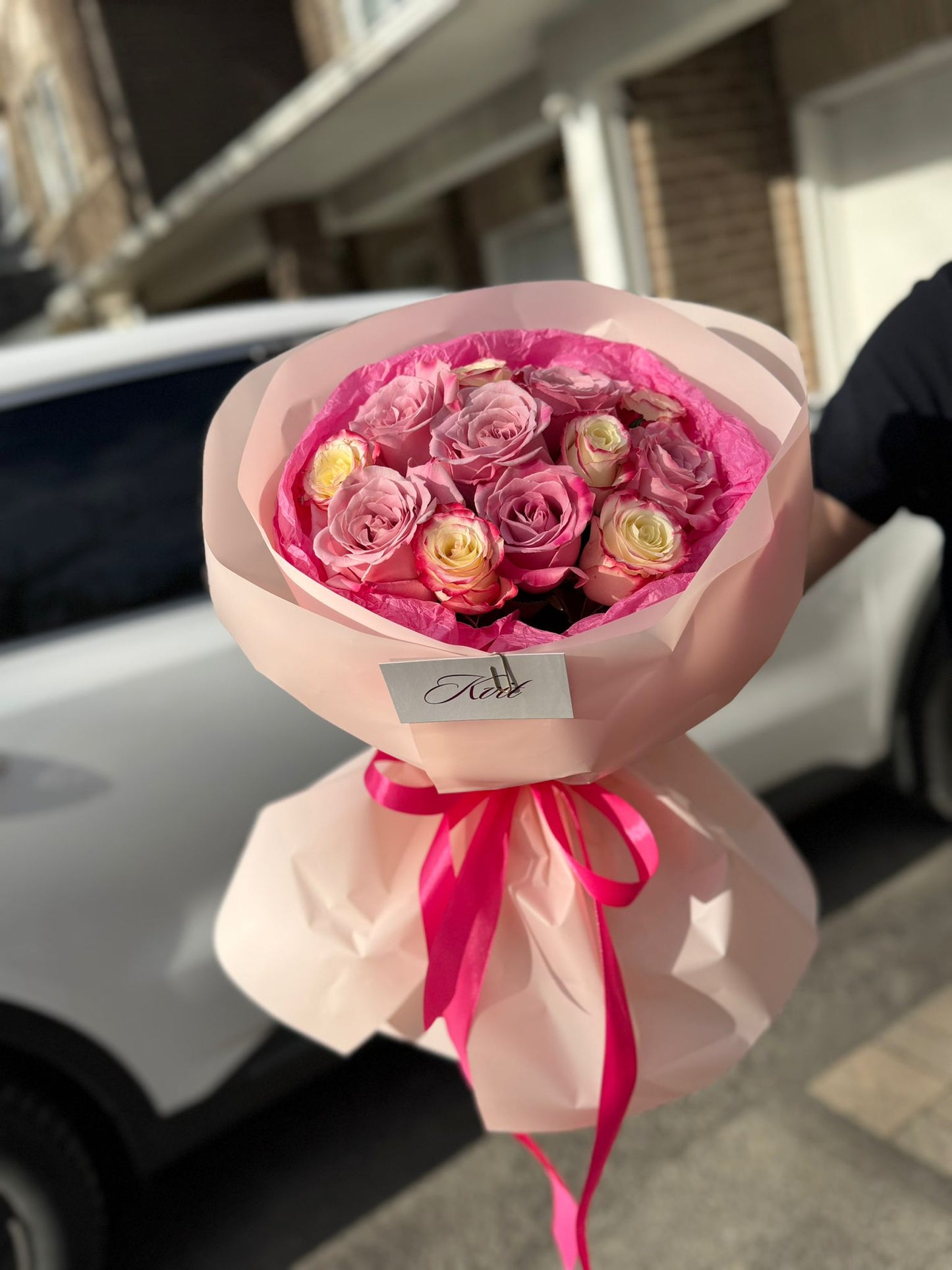 12 Pink Velvet Dream Roses