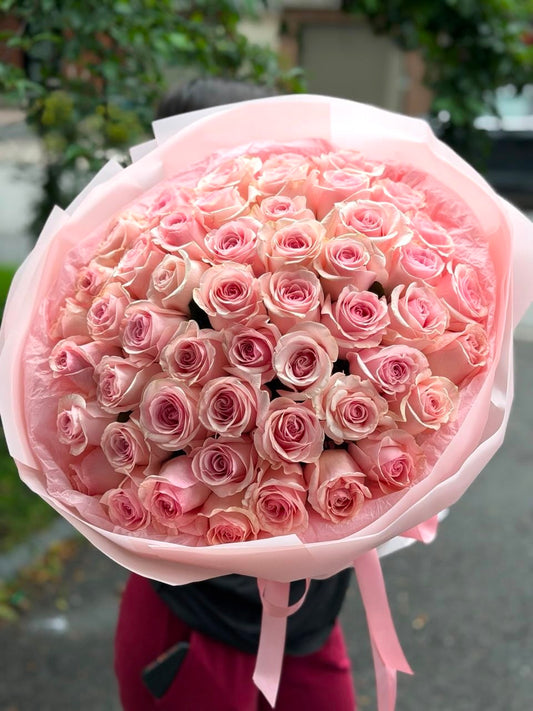48 Premium Blush Roses – Soft Luxury