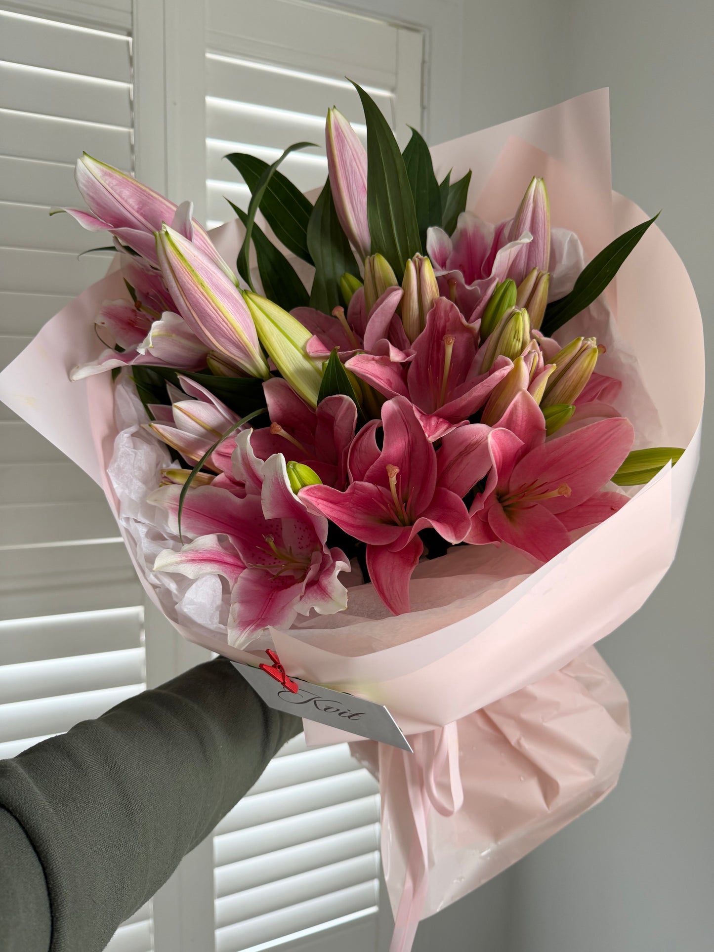 Lily Love