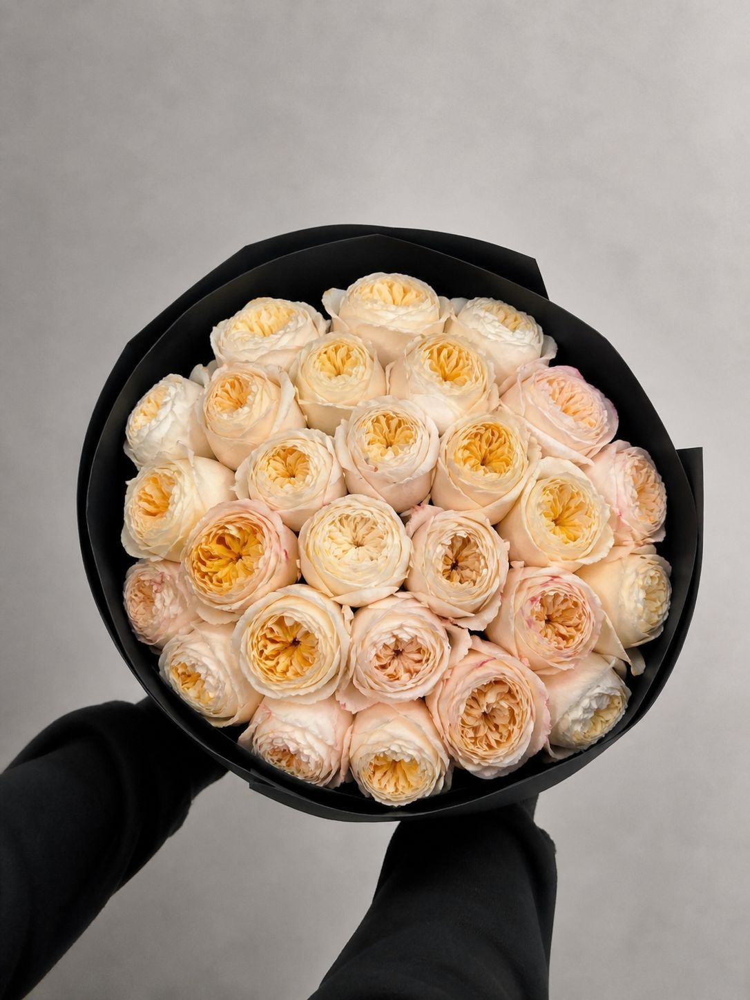 24 Cream Expression Garden Roses